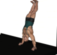 Push Up - Hand Stand